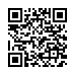 QR Code (код быстрого отклика)