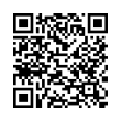 QR Code (код быстрого отклика)