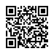 QR Code (код быстрого отклика)