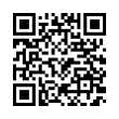 QR Code (код быстрого отклика)