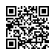 QR Code (код быстрого отклика)