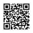 QR Code (код быстрого отклика)