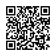 QR Code (код быстрого отклика)