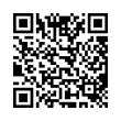 QR Code (код быстрого отклика)