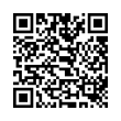 QR Code (код быстрого отклика)