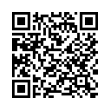 QR Code (код быстрого отклика)