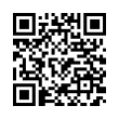 QR Code (код быстрого отклика)