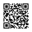 QR Code (код быстрого отклика)