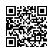 QR Code (код быстрого отклика)