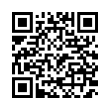 QR Code (код быстрого отклика)