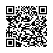 QR Code (код быстрого отклика)