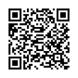 QR Code (код быстрого отклика)