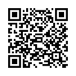 QR Code (код быстрого отклика)