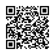 QR Code (код быстрого отклика)