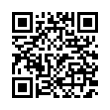 QR Code (код быстрого отклика)