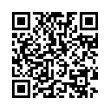 QR Code (код быстрого отклика)