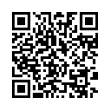 QR Code (код быстрого отклика)