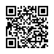 QR Code (код быстрого отклика)