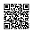 QR Code (код быстрого отклика)