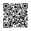 QR Code (код быстрого отклика)