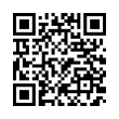 QR Code (код быстрого отклика)