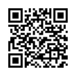 QR Code (код быстрого отклика)