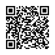 QR Code (код быстрого отклика)