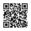 QR Code (код быстрого отклика)