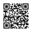 QR Code (код быстрого отклика)