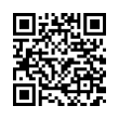 QR Code (код быстрого отклика)