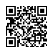 QR Code (код быстрого отклика)