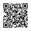 QR Code (код быстрого отклика)