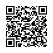 QR Code (код быстрого отклика)