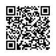 QR Code (код быстрого отклика)