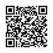 QR Code (код быстрого отклика)