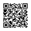 QR Code (код быстрого отклика)