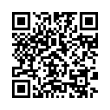 QR Code (код быстрого отклика)