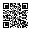 QR Code (код быстрого отклика)