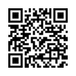 QR Code (код быстрого отклика)