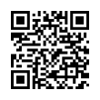 QR Code (код быстрого отклика)