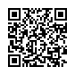QR Code (код быстрого отклика)