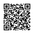 QR Code (код быстрого отклика)