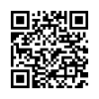 QR Code (код быстрого отклика)