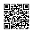 QR Code (код быстрого отклика)