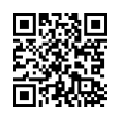 QR Code (код быстрого отклика)