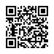 QR Code (код быстрого отклика)