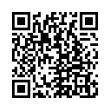 QR Code (код быстрого отклика)