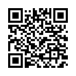 QR Code (код быстрого отклика)