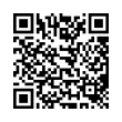 QR Code (код быстрого отклика)