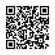 QR Code (код быстрого отклика)